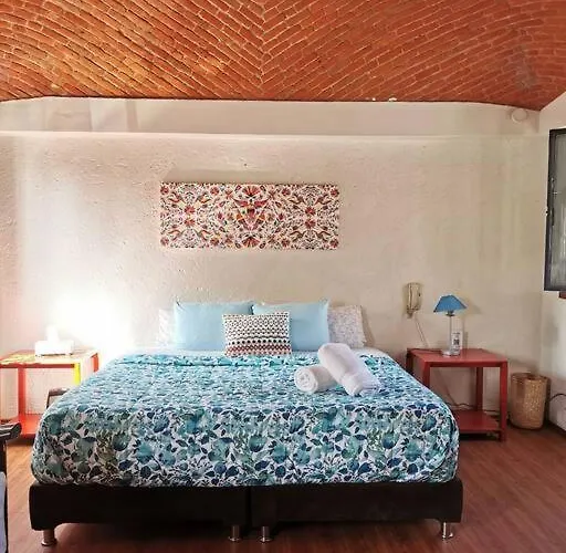 Casa Ayvar. Espectacular Colonial En El Corazon De Coyoacan. *