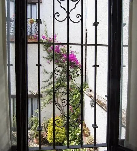 Pousada Casa Ayvar. Espectacular Colonial En El Corazon De Coyoacan. Cidade do México